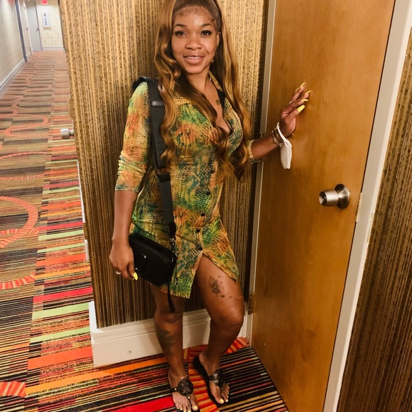 Multi Snake Print Mesh Button Down Shirt Dress - Picture 3 of 3